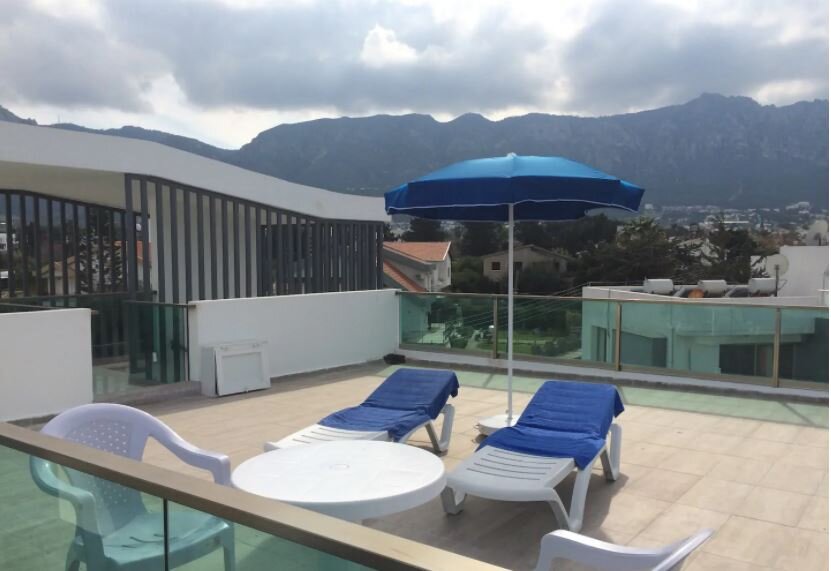 Вид с крыши в обратную сторону / источник airbnb.ru