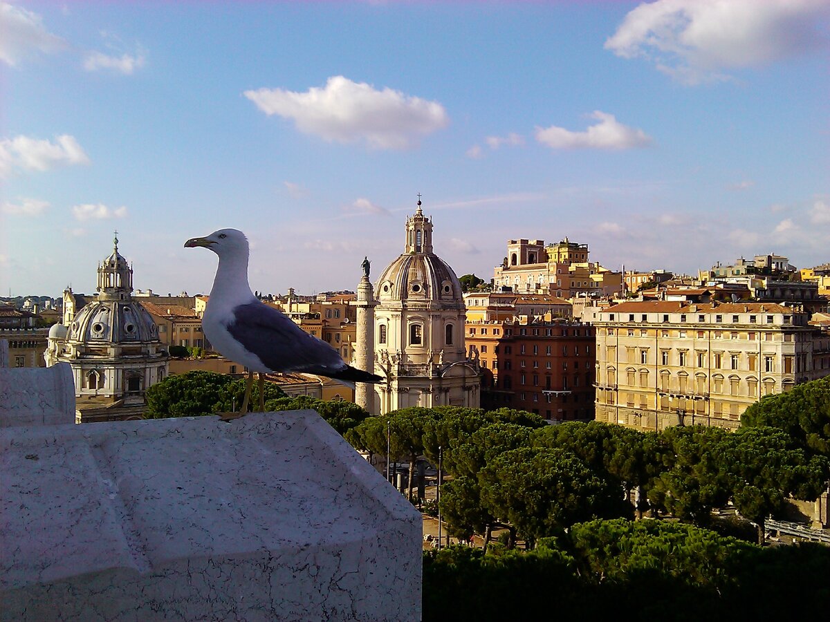 Автор фотографии Даниил Муха. Из личного архива.