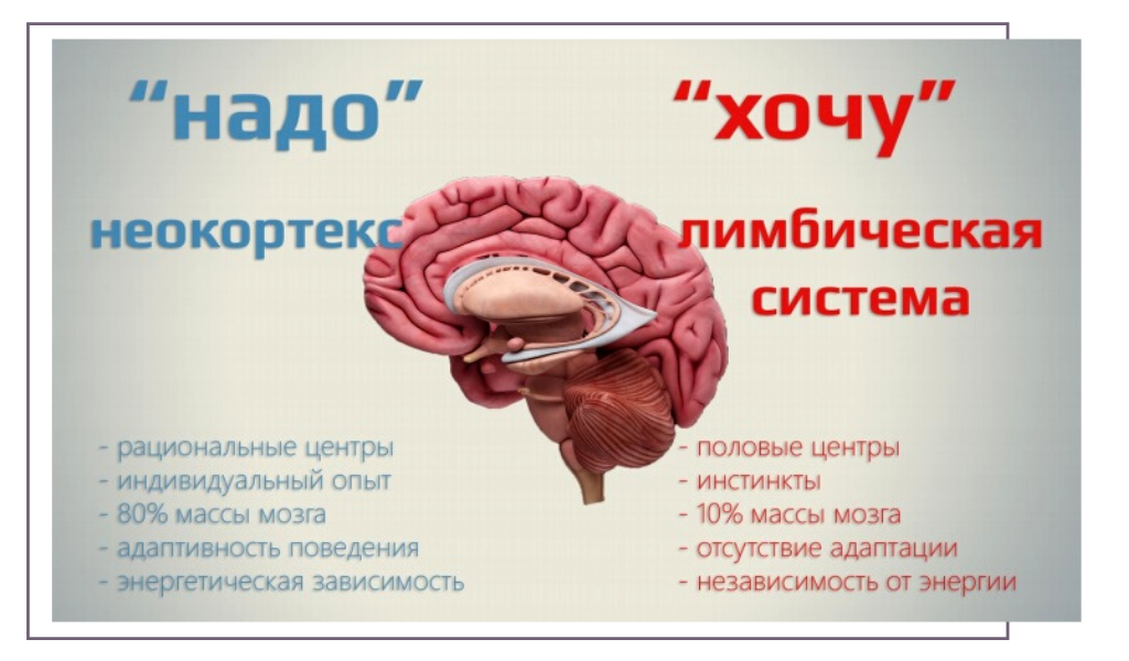 отличия "надо" и "хочу"