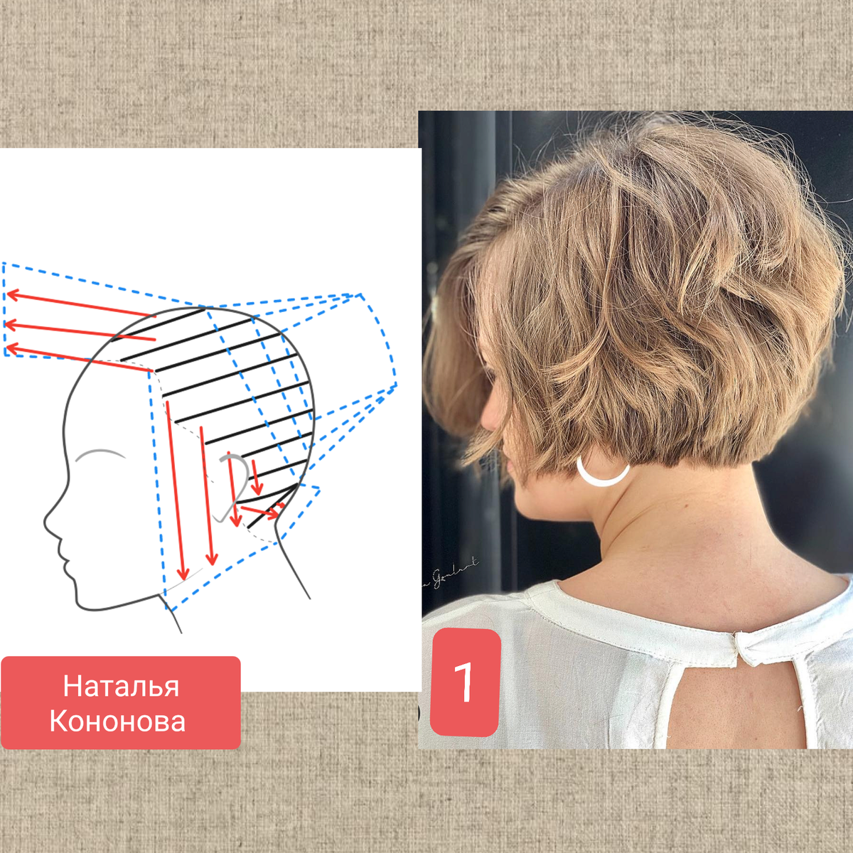 Схема автора, модель стрижки из интернета.
