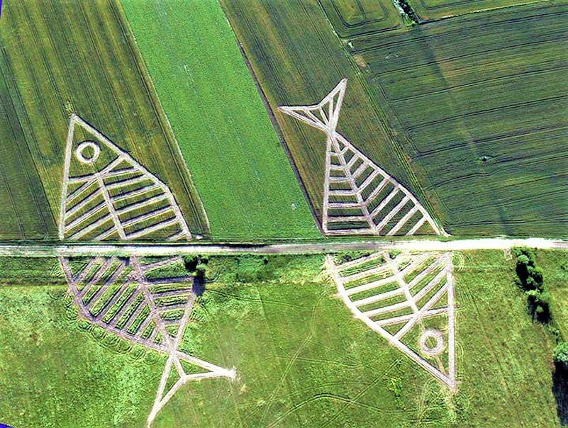   Фото с сайта: https://clck.ru/ZRzi8.