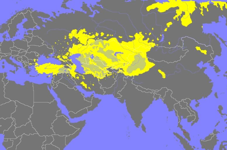 Οι τόποι συμπαγούς διαμονής των Τούρκων λαών σημειώνονται με κίτρινο χρώμα σε αυτόν τον χάρτη της Ευρασίας.