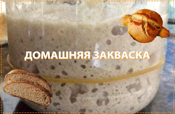 Как сделать закваску для хлеба в домашних условиях