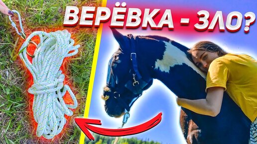 Приучаю жеребенка пастись на ВЕРЕВКЕ / Будни в конюшне VLOG