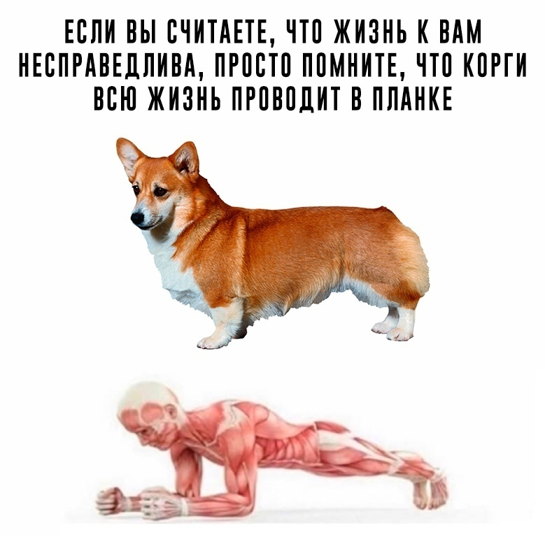 Когда совсем тяжко строить становится, вспоминаем, что Фродо строить ещё сложнее, эх