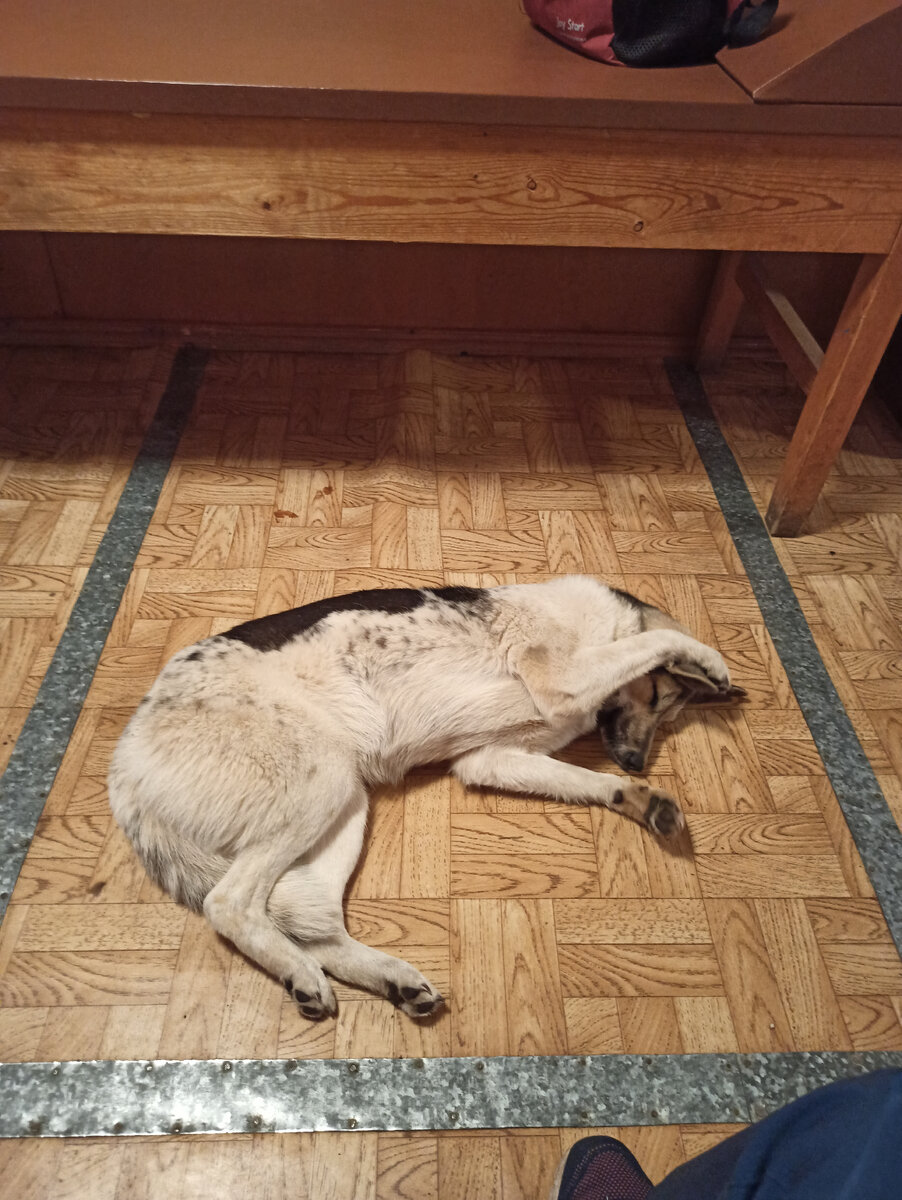 Это моя "напарница")))) 