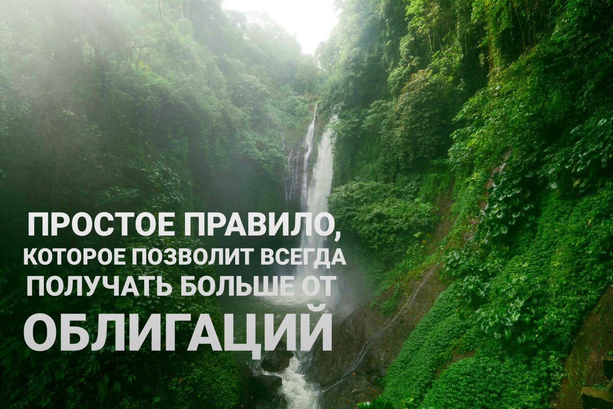 Источник фото pexels.com 