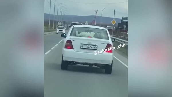 На Сахалине решили провезти ребёнка на задней полке авто. Видео © Телеграм-канал "Сахалин ДТП/ЧП"