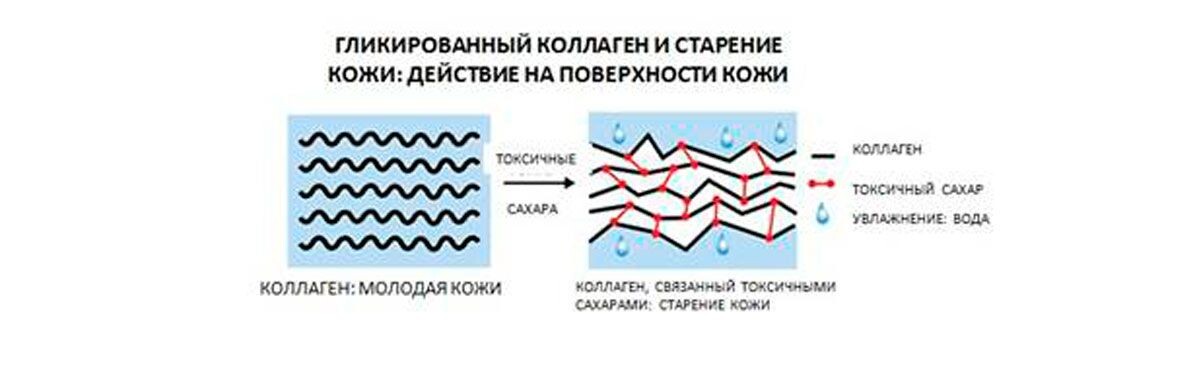 Наглядный эффект гликированного коллагена