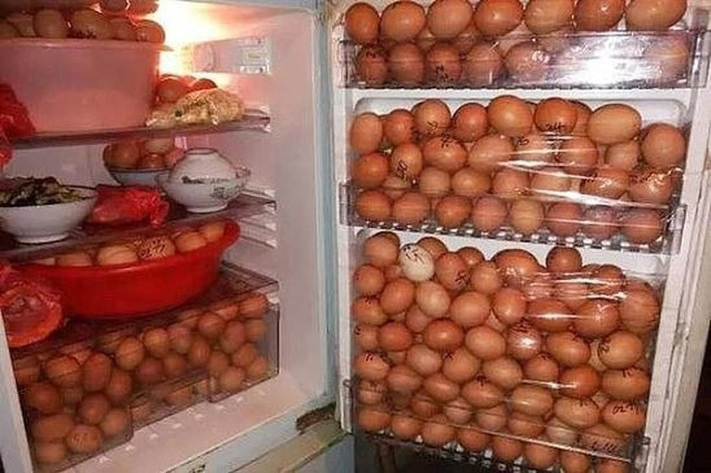 Яйца гудят. Полный холодильник яиц. Холодильник с едой. Яйца в холодильнике. Куча яиц в холодильнике.