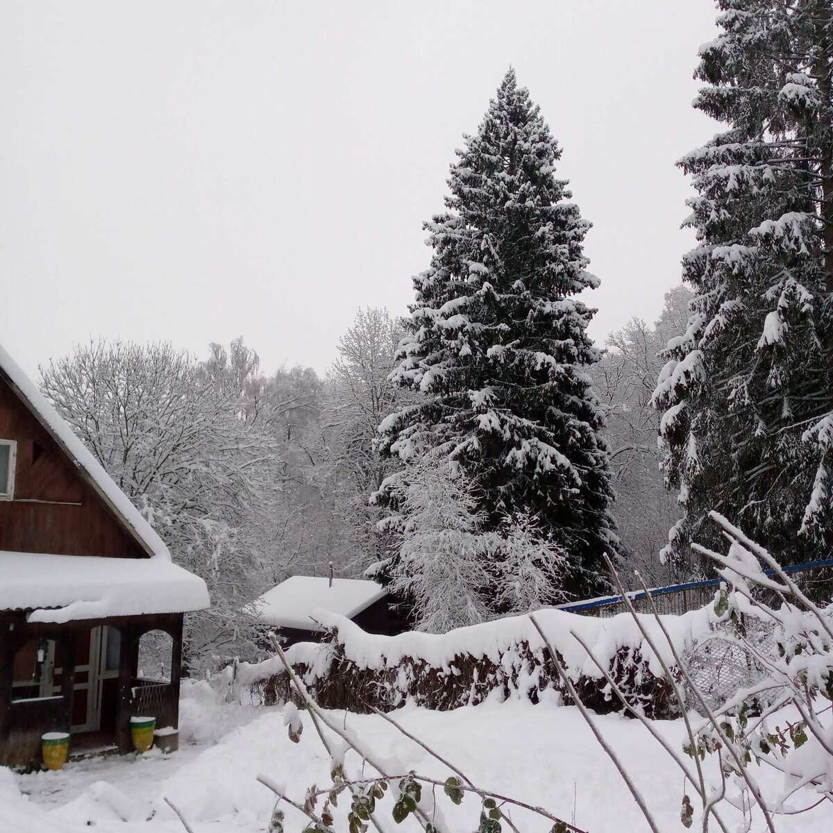 Зима. Тишина и красота.