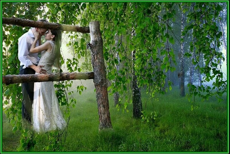 Из открытых источников