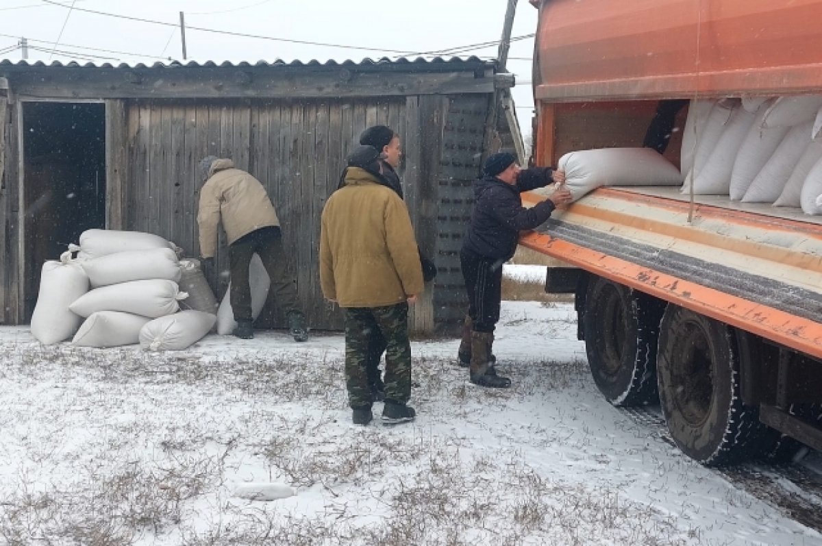    Кинельские аграрии передали семьям мобилизованных свыше 15 тонн пшеницы
