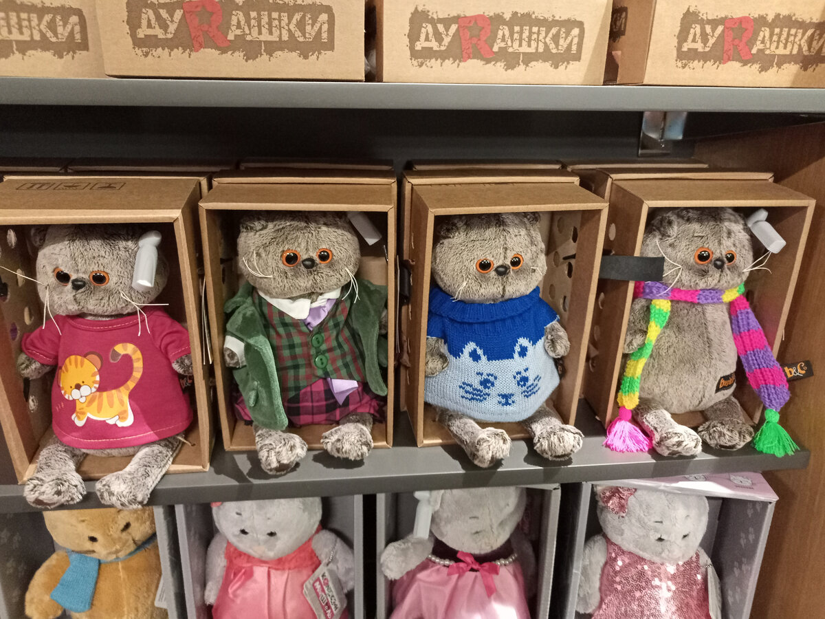 Котики. Фото автора.