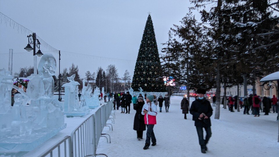     На Новособорной площади в Томске установят 24-метровую елку. Ксения Высотина