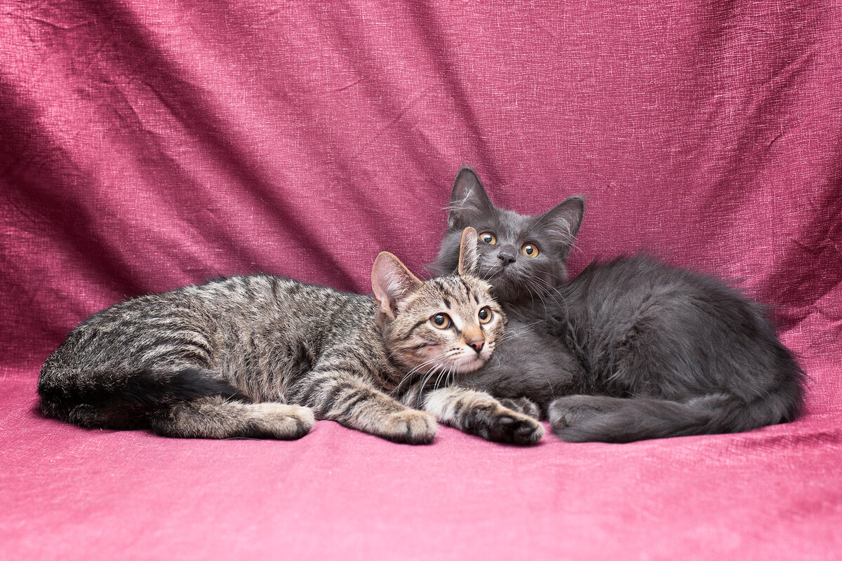 Беня и Веня. Когда ещё были месте