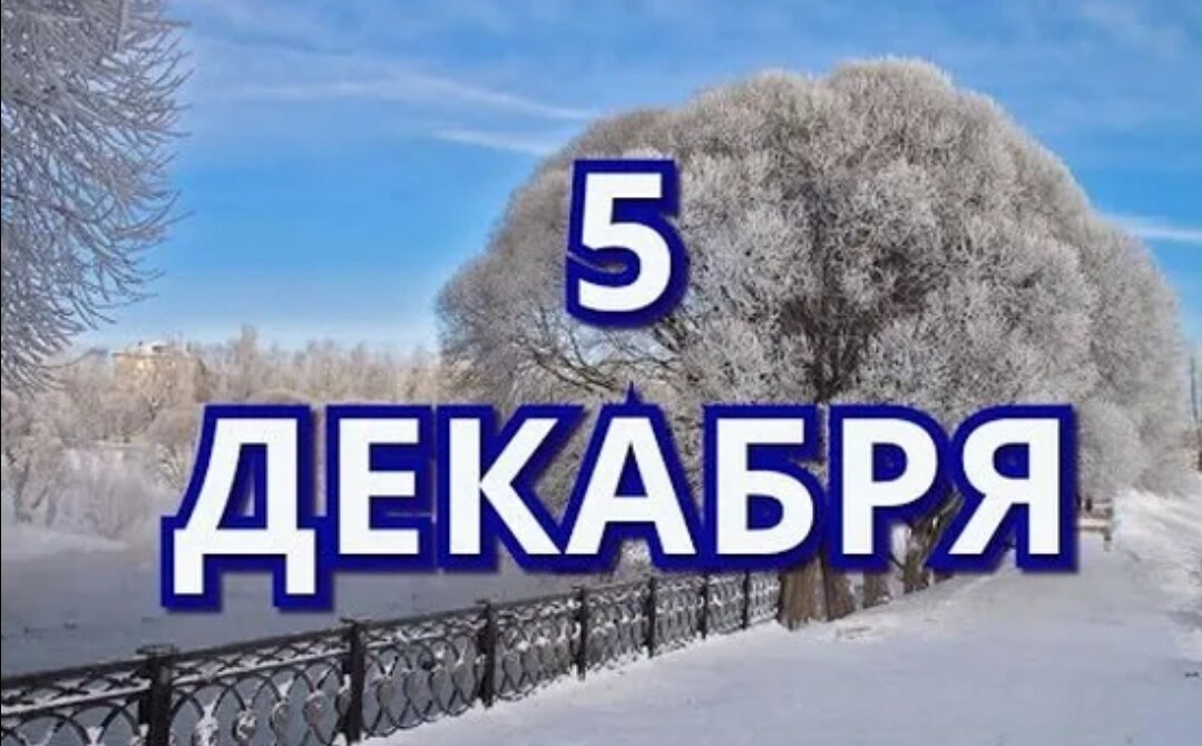 Яндекс. Картинки 