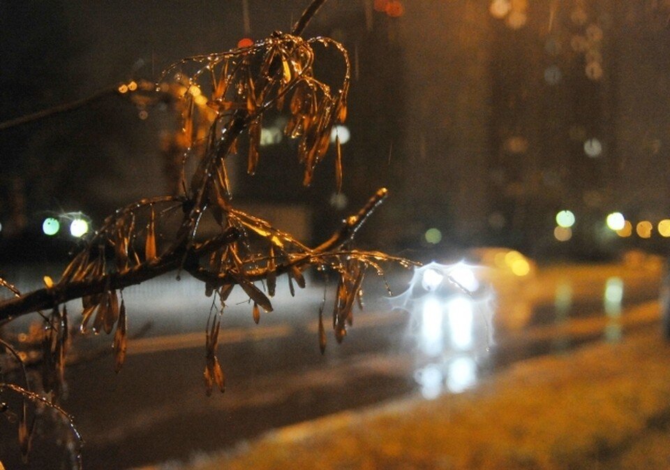     Фото: архив "КП"