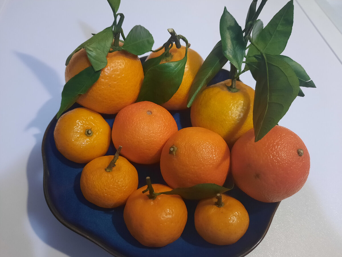 3 вида мандаринов: маленькие, средние, большие