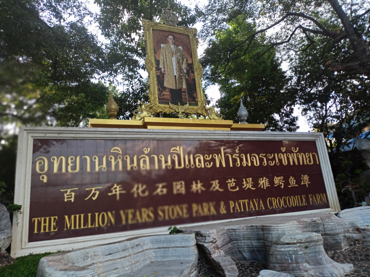 Фото принадлежит каналу 