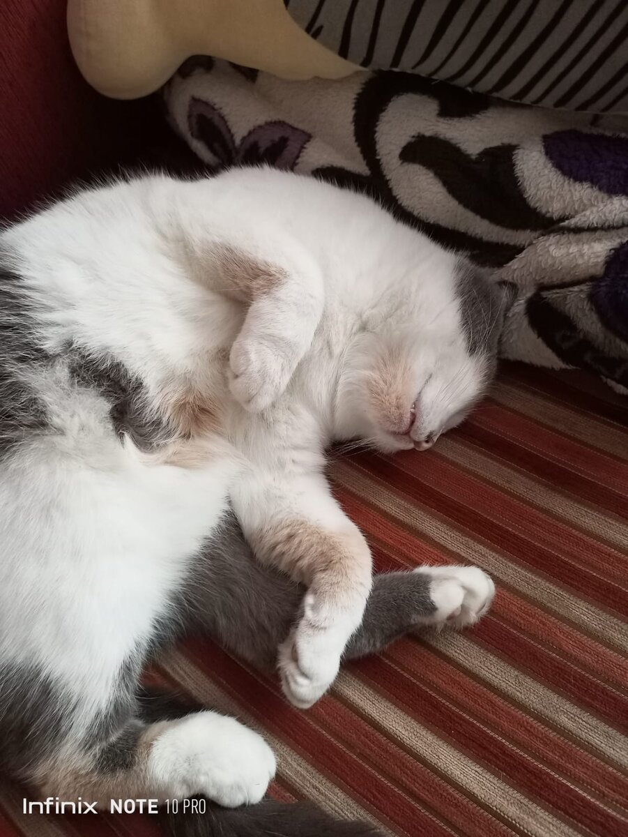 Еще и лапкой подрыгивала)