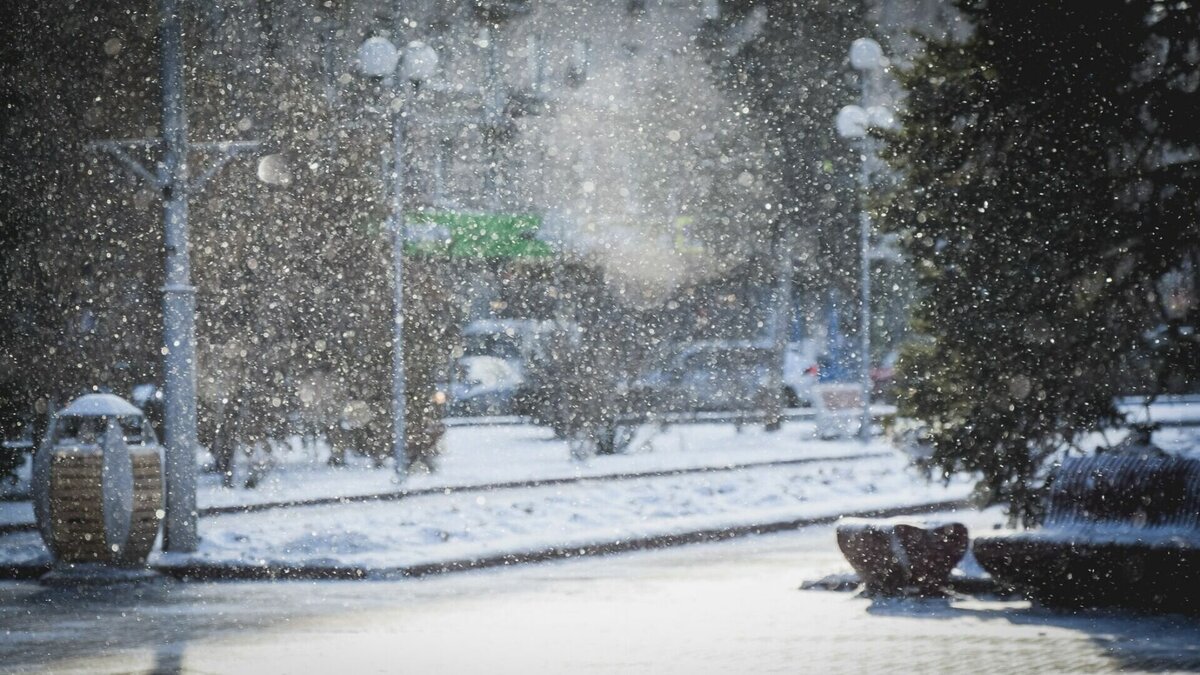     Мокрый снег, дожди и заморозки прогнозируются в Нижегородской области в период с 8 по 13 декабря. Об этом предупредили жителей региона в областном УГИБДД.