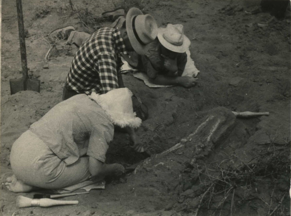 Раскопки на Разином Буге. 1960-е г. Из личной коллекции семьи Бекмурзаевых.