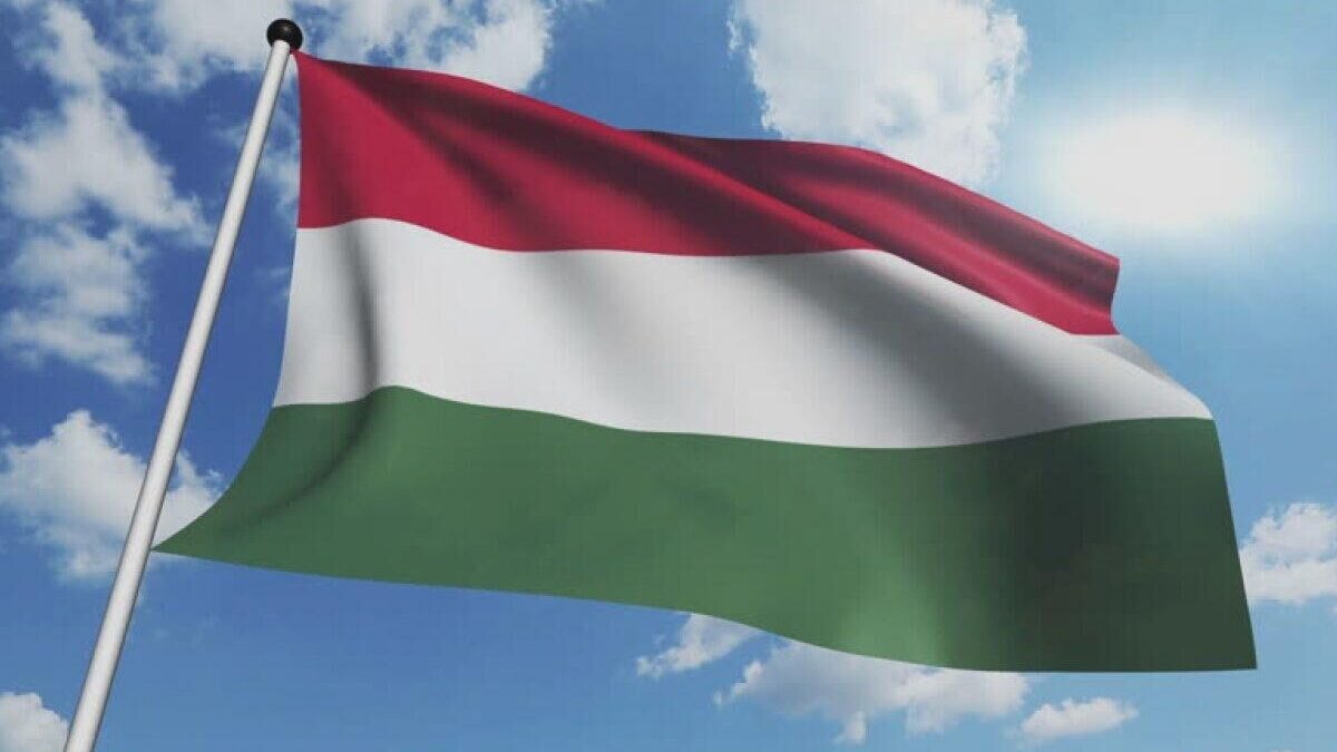 andrey-eltsov.ru📷
