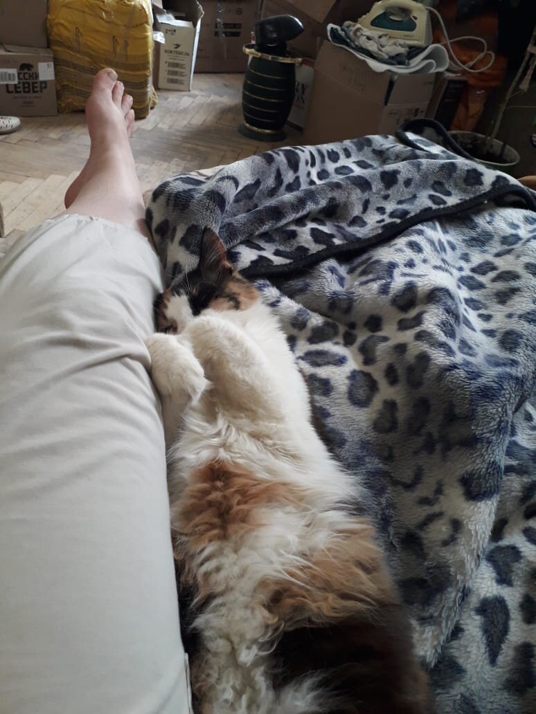 Это наш термос, очень удобный для длительных поездок.