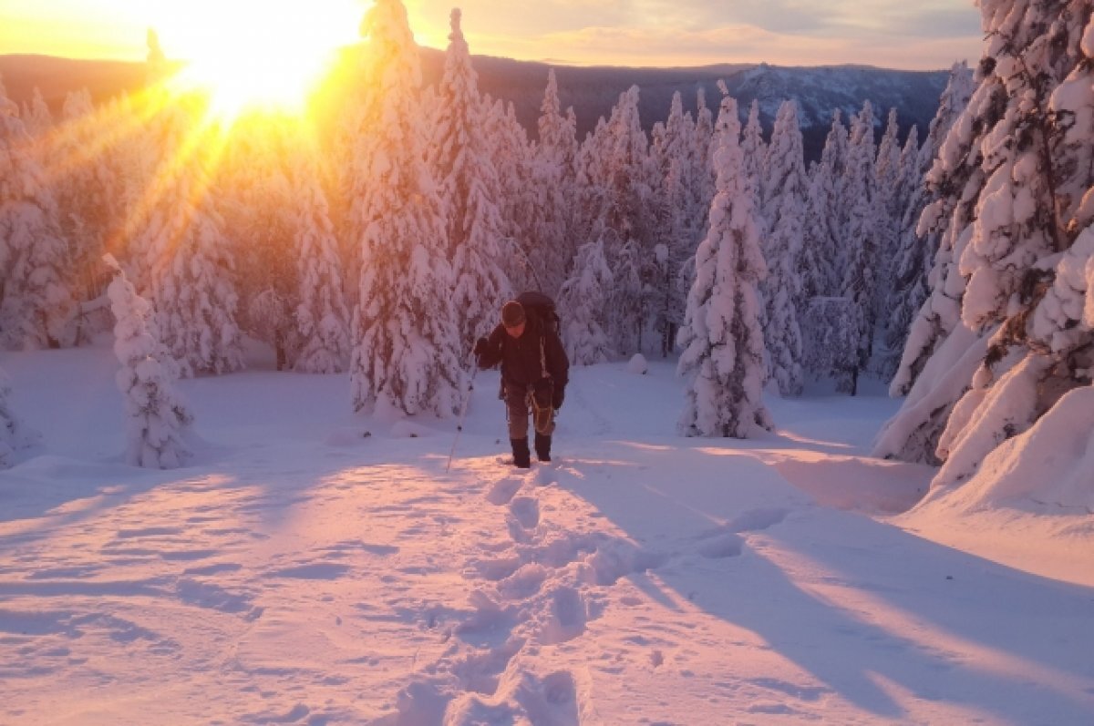    Пельмени под ёлкой. Как встретить Новый год в уральском лесу с комфортом