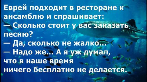 Юмор, анекдоты, приколы про евреев