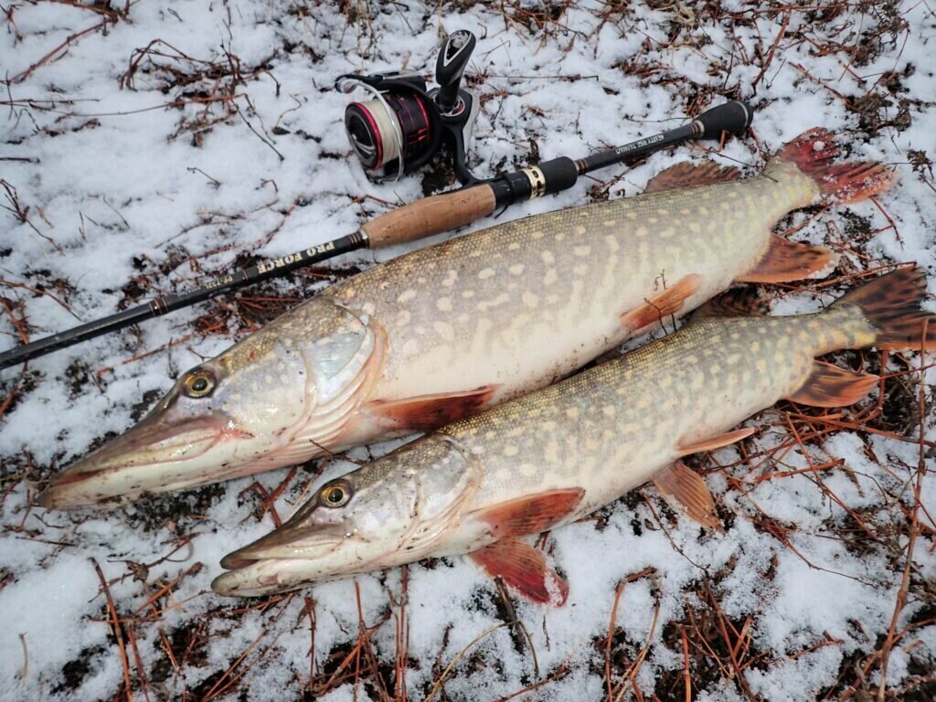 Добавьте описание