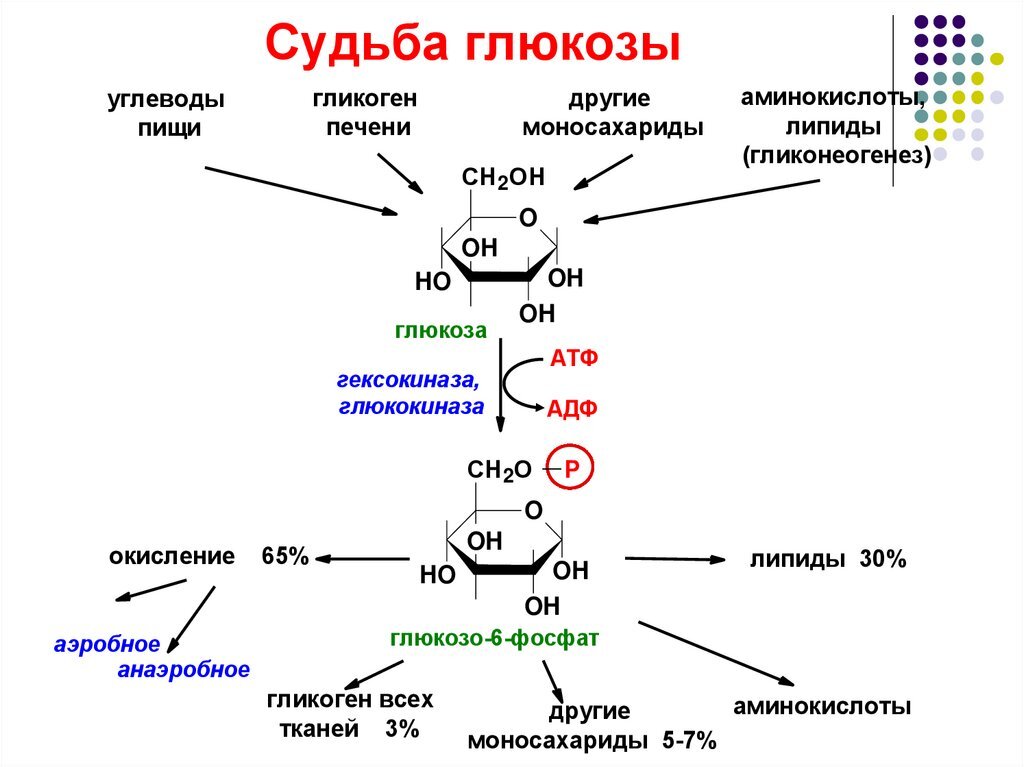 Применение углеводов схема