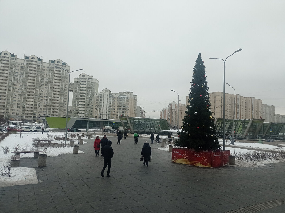 ель у тогрового центра у метро Жулебино