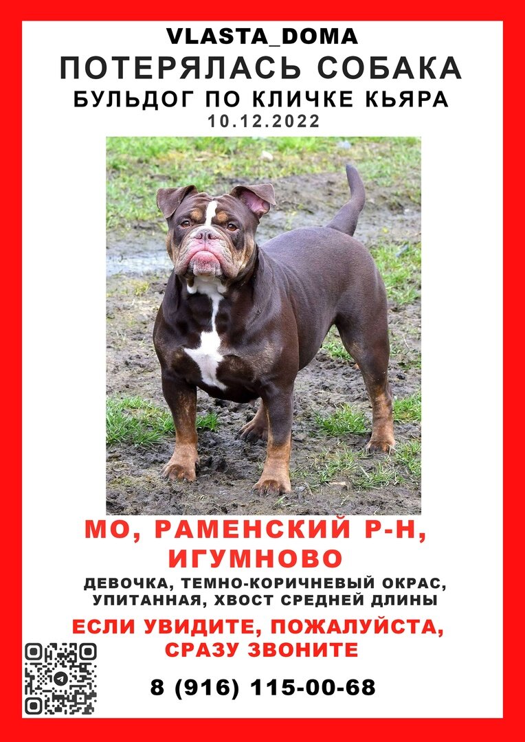 село Игумново, Раменский район,МО 10.12.22 ПРОПАЛА собака. Девочка бульдог, окрас темно коричневый, возраст 4 года, зовут Кьяра.Собака добрая, может быть недоверчива к людям. Кьяра нуждается в лечении на постоянной основе.
Очень прошу , помогите найти девочку🙏, буду очень благодарен за любую информацию🙏 +79161150068 Сергей.
Вознаграждение гарантировано.
Пожалуйста репост!