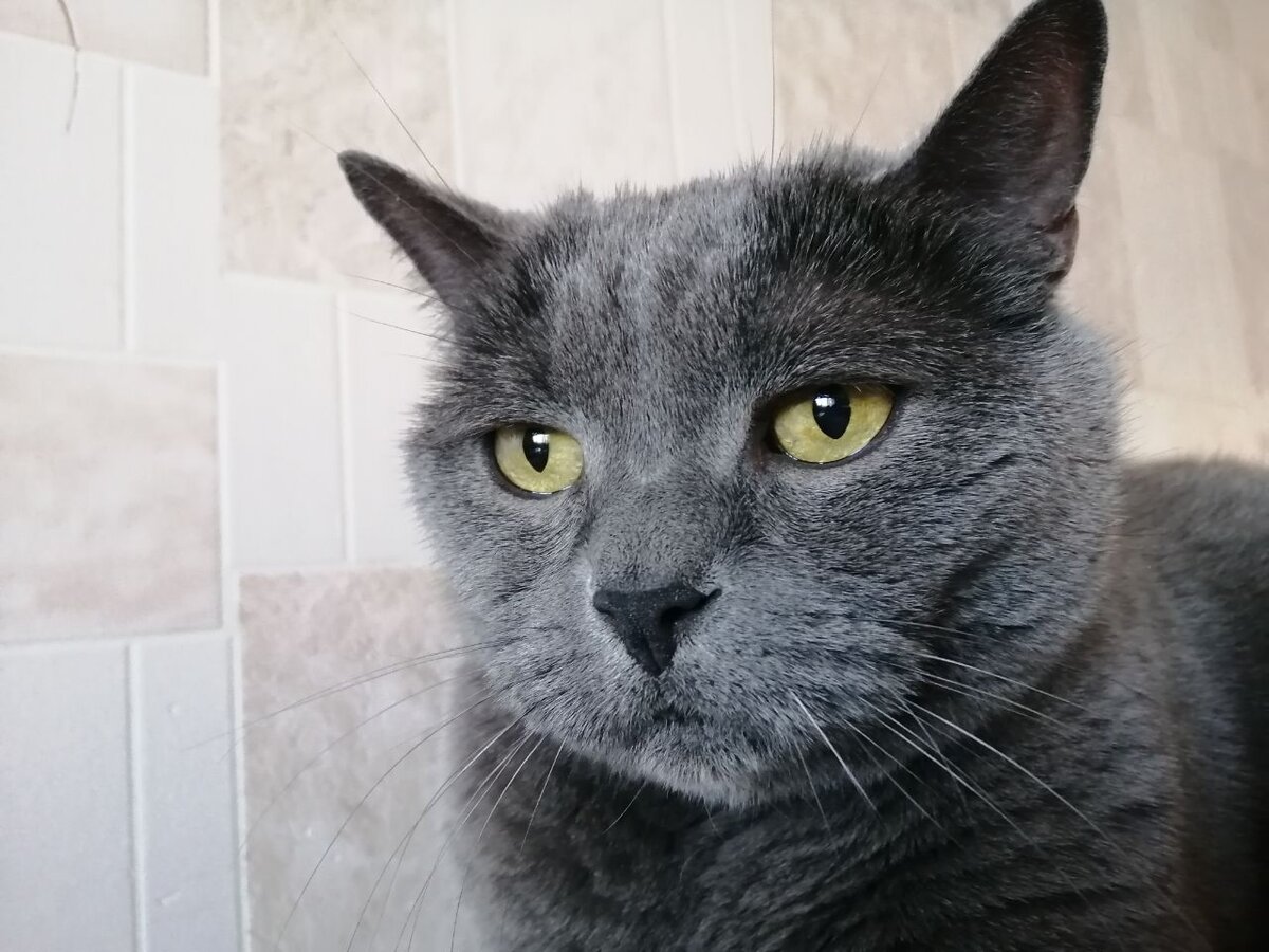 Когда Таня сказала, что месяц дома будет только ночевать. Вся скорбь еврейского народа в этих глазах.