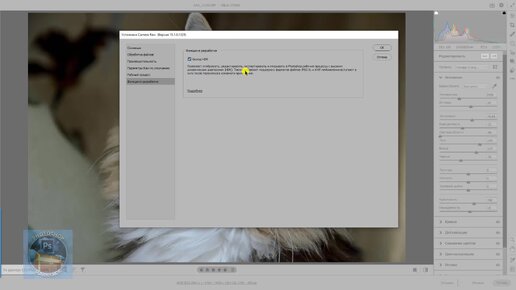 Как Скачать И Установить Новую Camera Raw 15.1 В Фотошоп 2023.