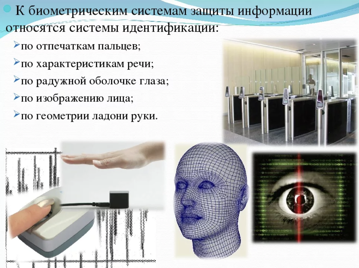 Биометрическая система закон. Биометрические системы идентификации. Биометрическая идентификация личности. Системы идентификации по отпечаткам пальцев. Биометрические устройства идентификации личности.