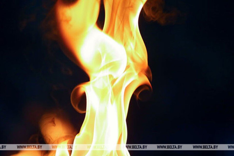     В Климовичском районе горел свинарник – удалось спасти 45 свиней. Снимок используется в качестве иллюстрации. Фото: БелТА