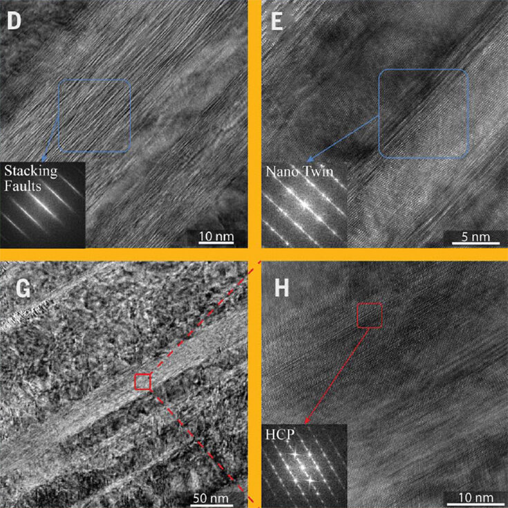   Liu Dong et al. / Science, 2022