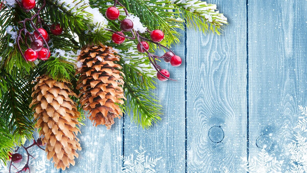 из интернета