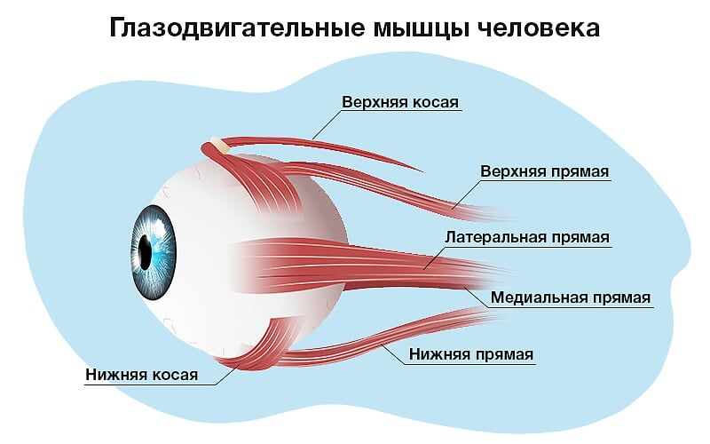 Эффективные упражнения для глаз