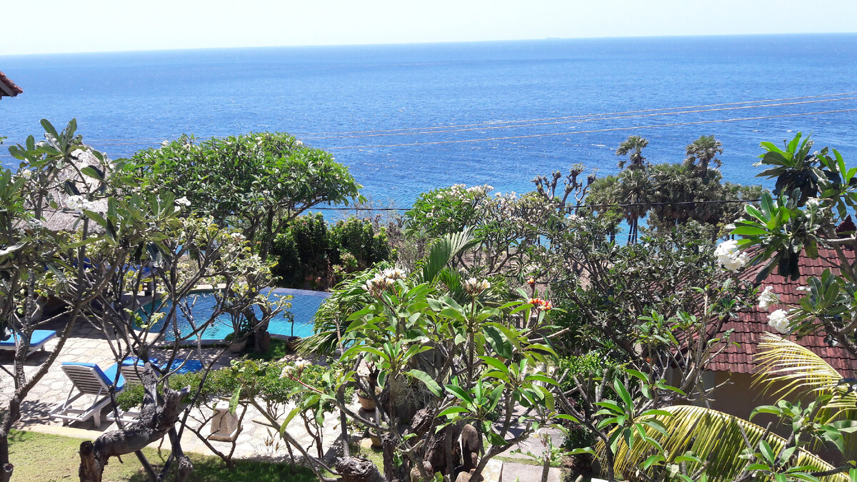 Фото автора.