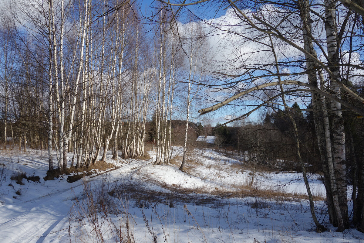 фото из личного архива автора.