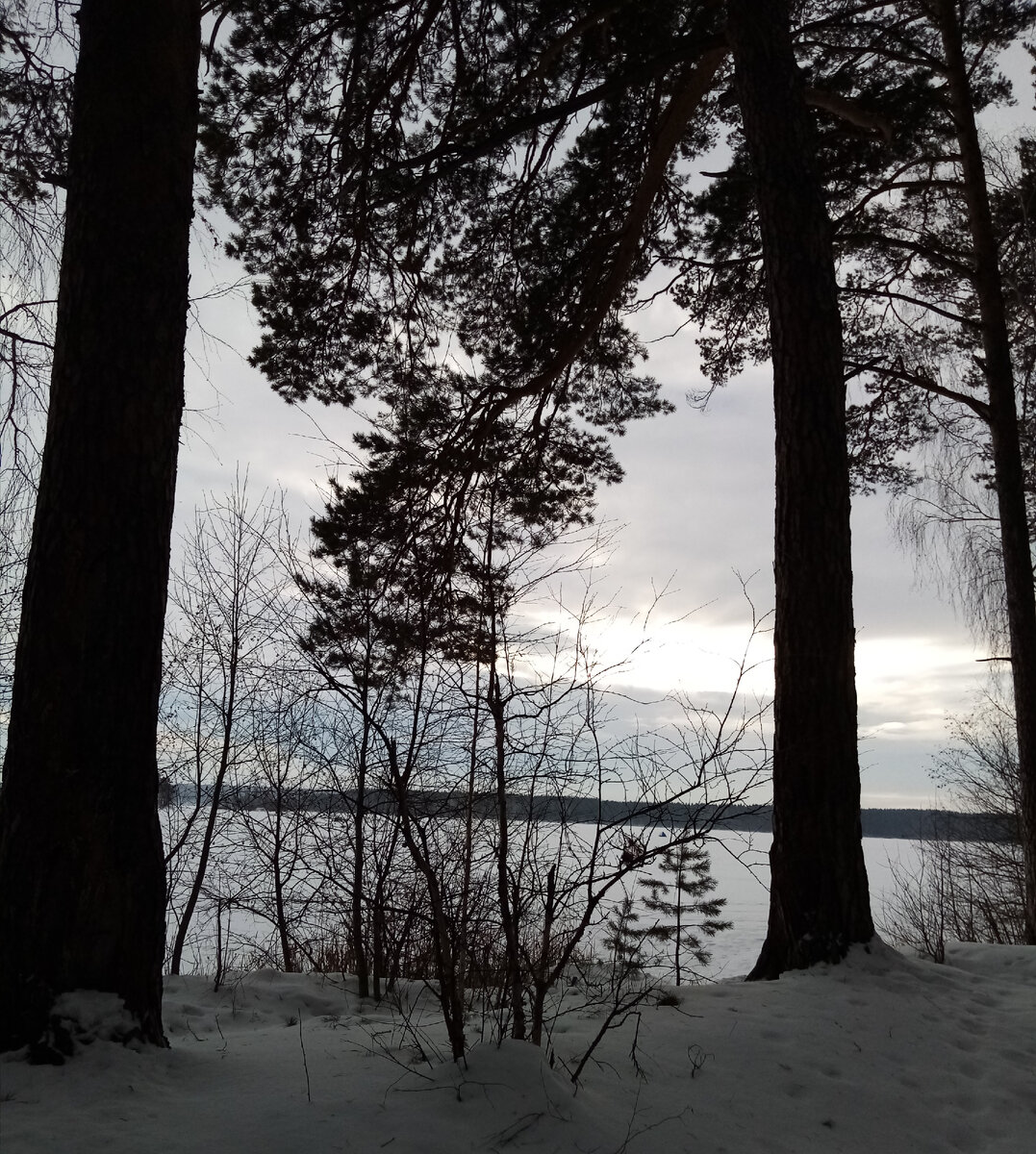 Озеро Еланчик уснуло в тиши подо льдом (все фото автора)