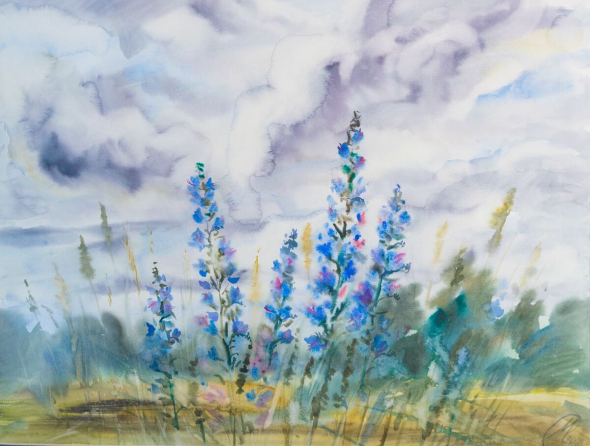 ����������� ��� ����� ���������