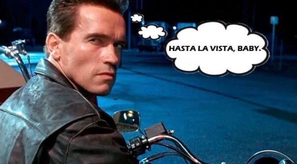 Фото с сайта Pexels.com 