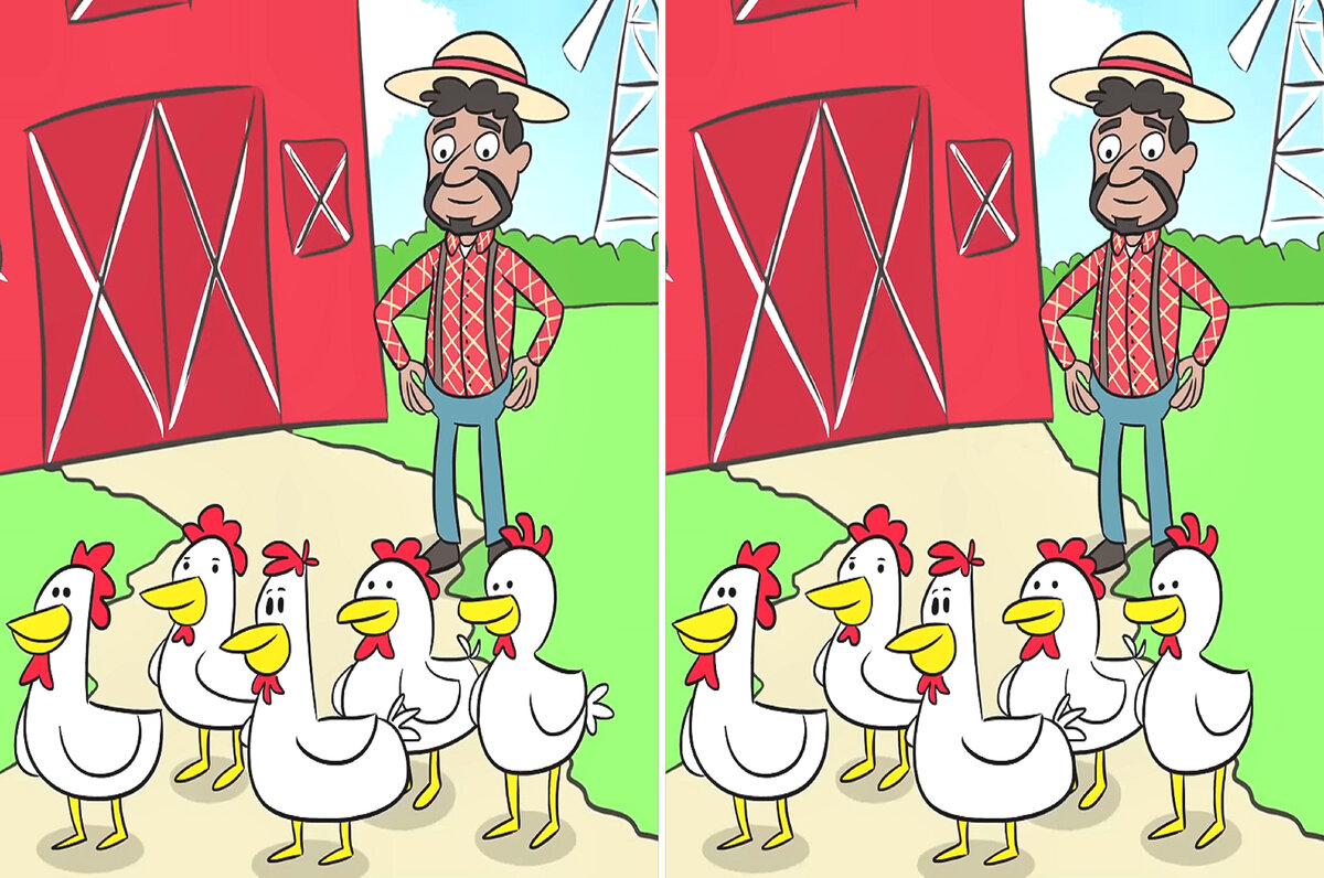 3 отличия
