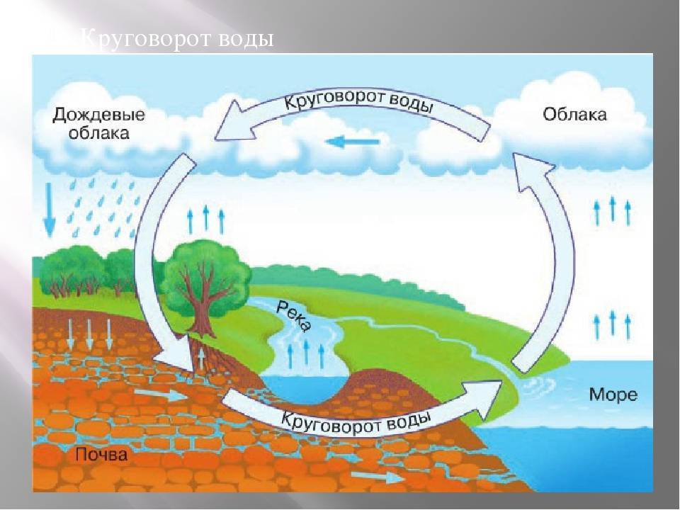 Презентация "Круговорот воды в природе" (3 класс) по биологии - скачать проект