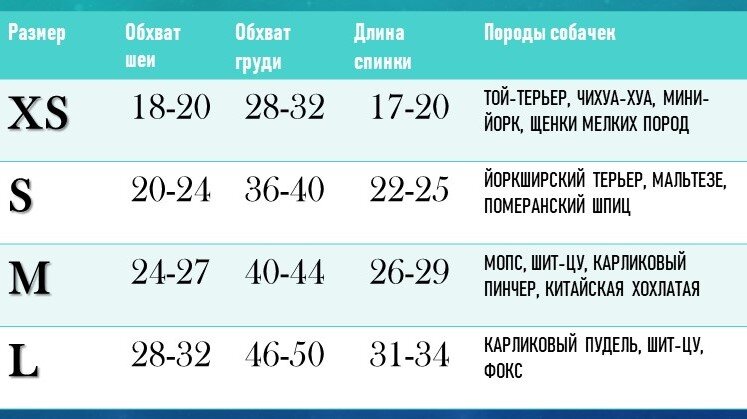 Типичная размерная сетка для собак, определите размер своего питомца)